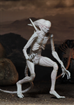 NECA ALIEN NEOMORPH CHINA VER