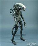 NECA ALIEN XENOMORPH 35 ANNIVERSARY CHINA VER