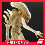 NECA ALIEN XENOMORPH TRANSLUCENT PROTOTYPE CHINA VER
