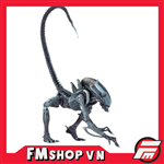 NECA ARACHNOID ALIEN CHINA VER 