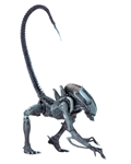 NECA ARACHNOID ALIEN US VER