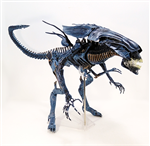NECA QUEEN ALIEN DELUXE CHINA VER -