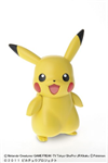 POKEMON NO 19 PIKACHU