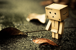 REVOLTECH DANBO VER AMAZON