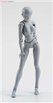 SHF BODY CHAN DX SET GRAY COLOR