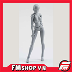 SHF BODY CHAN GRAY DX VER FAKE