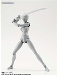 SHF BODY CHAN GRAY VER FAKE