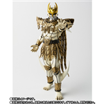 SHF DAGUVA ZEBA 2.0 NEW 