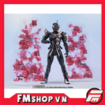 SHF KAMEN RIDER ARK-ZERO & ARK EFFECT PARTS SET