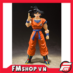 SHF SONGOKU A SAIYAN RAISE ON EARTH OPEN