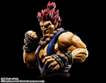 SHF STREET FIGHTER: AKUMA