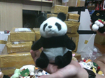 THÚ BÔNG PANDA SUPER CUTE