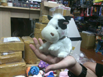 THÚ BÔNG WHITE COW
