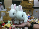 THÚ BÔNG WHITE RABBIT CUTE
