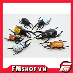 WORLD KABUTO STAG COLLECTION 5 BEETLE SET A (JAPAN VER)