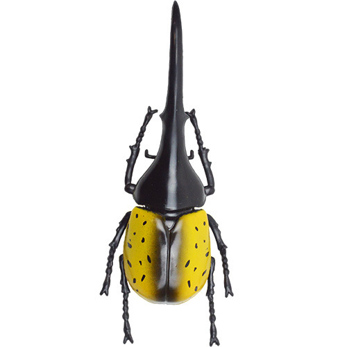 Mua bán WORLD KABUTO STAG COLLECTION 5 BEETLE SET A (JAPAN VER)