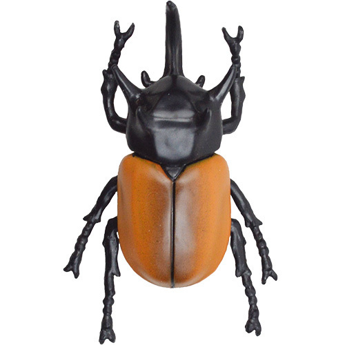 Mua bán WORLD KABUTO STAG COLLECTION 5 BEETLE SET A (JAPAN VER)