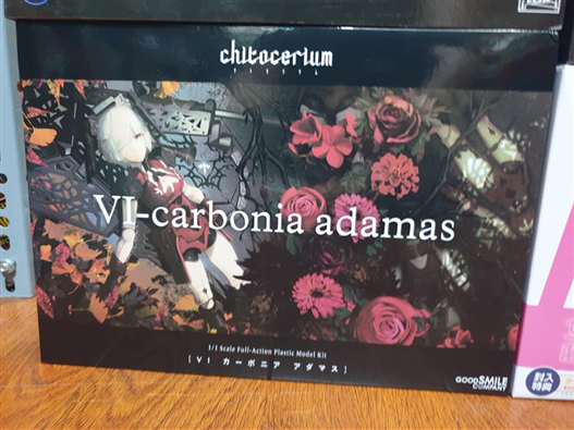 Mua bán VI-CARBONIA ADAMAS 1/1 PLASTIC MODEL JPV