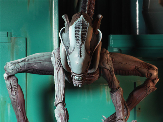 Mua bán NECA ALIEN VS. PREDATOR ARCADE APPEARANCE ARACHNOID FIGURE
