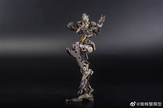 Mua bán HIRM HI RESOLUTION BARBATOS LUPUS SPIDER CRAB