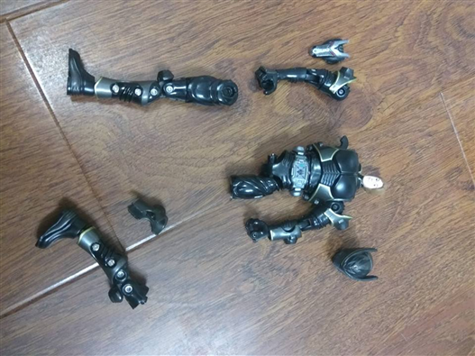 Mua bán XÁC SHS KAMEN RIDER RYUGA