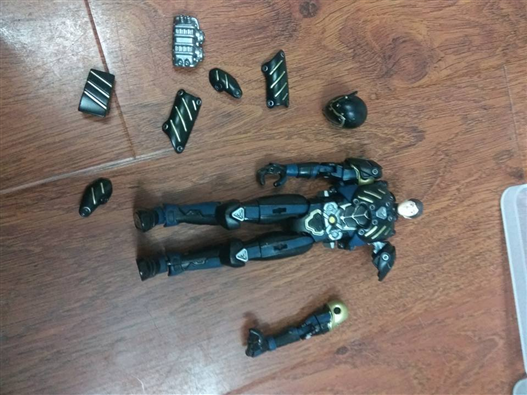 Mua bán XÁC SHS KAMEN RIDER ALTERNATIVE