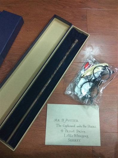 Mua bán ĐỦA PHÉP HERMIONE GRANGERS