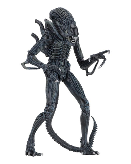 Mua bán NECA XENOMORPH WARRIOR CHINA VER