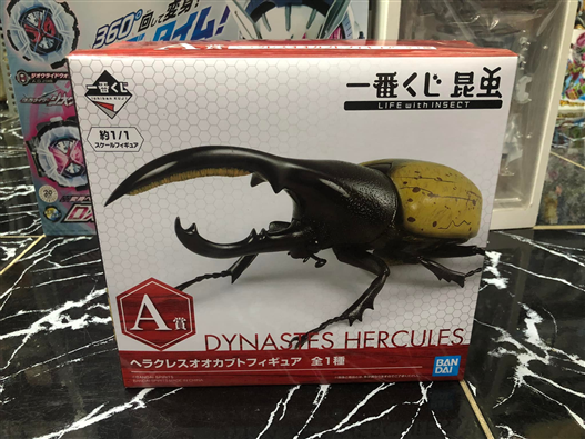 Mua bán ICHIBAN KUJI DYNASTES HERCULES (JPV)