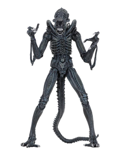 Mua bán NECA XENOMORPH WARRIOR CHINA VER