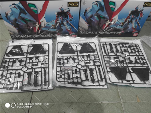 Mua bán RG ASTRAY RED FRAME KÈM BASE
