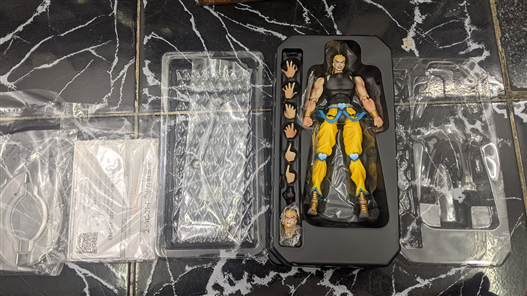 Mua bán SAS DIO FULL POWER 2ND