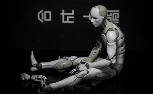 Mua bán SCALE SYNTHETIC HUMAN FAKE 1/6