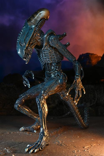 Mua bán NECA ALIEN ARACHNOID ALIEN