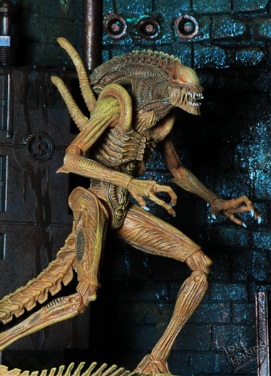 Mua bán NECA SEWER MUTATION WARRIOR ALIEN CHINA VER