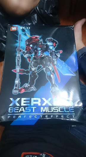 Mua bán NEOARTS XERXES BEAST MUSCLE LIKE NEW