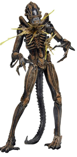 Mua bán NECA XENOMORPH WARRIOR BATTLE DAMAGED CHINA VER
