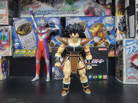 Mua bán SHF RADITZ 2ND NOBOX (ĐỒ NHƯ HÌNH)