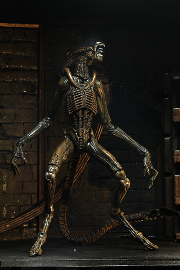 Mua bán NECA ALIEN 3 CHINA VER
