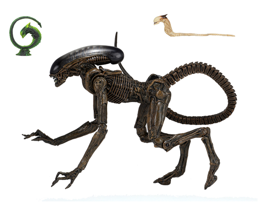 Mua bán NECA ALIEN 3 CHINA VER