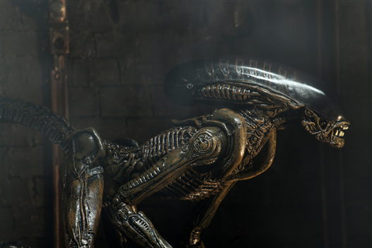 Mua bán NECA ALIEN 3 CHINA VER