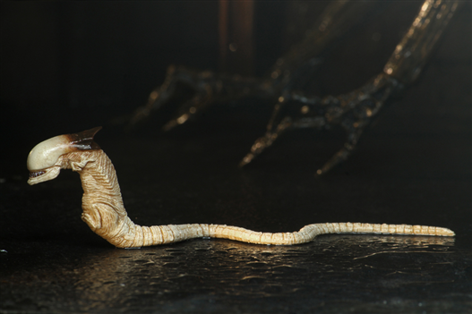 Mua bán NECA ALIEN 3 CHINA VER