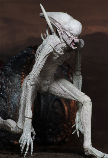 Mua bán NECA ALIEN NEOMORPH CHINA VER