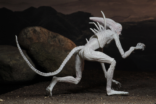 Mua bán NECA ALIEN NEOMORPH CHINA VER