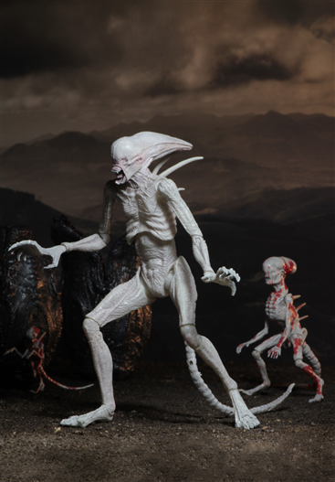 Mua bán NECA ALIEN NEOMORPH CHINA VER