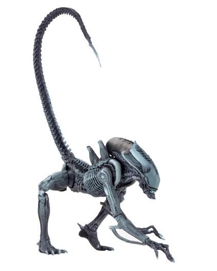 Mua bán NECA ARACHNOID ALIEN US VER