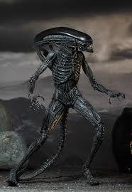 Mua bán NECA ALIEN XENOMORPH CHINA VER