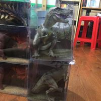 Mua bán PVC T-REX FAKE