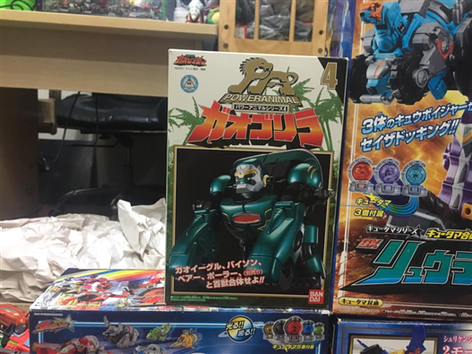 Mua bán DX GAO KONG LIKE NEW