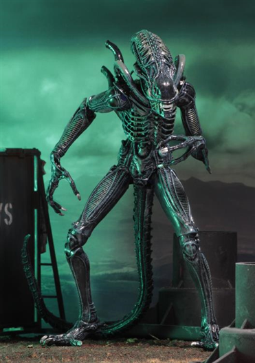 Mua bán NECA XENOMORPH WARRIOR CHINA VER